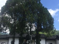 -毛泽东同志旧居