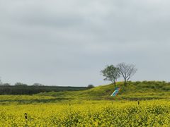 -冶山国家矿山公园