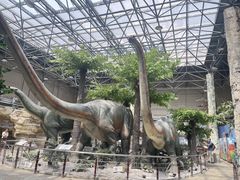 -国家自然博物馆