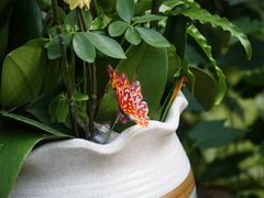 -上海动物园(地铁站)