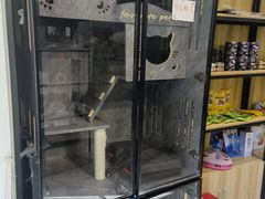 -Pets First伊珊娜洗护·精致美容·家庭式寄养(新会路店)