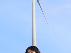 -齐岳山