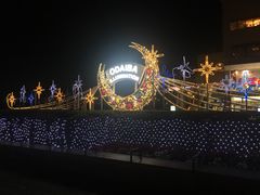 -台场海滨公园船码头