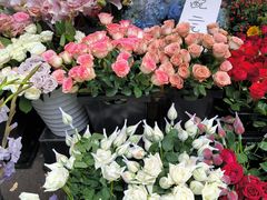 -循礼门鲜花花市(武汉循礼门店)