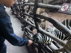-长鹿旅游休博园
