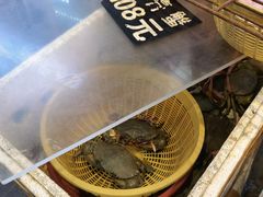 -莲花公园煎蟹(总店)