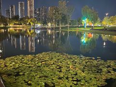 -杭州城北体育公园