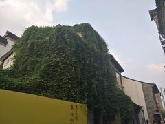 -好一朵茉莉花(老门东店)