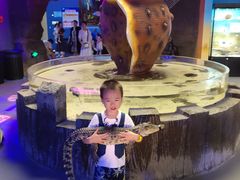 -石家庄海洋公园