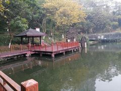 -重庆彩云湖湿地公园