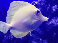 -厦门海底世界