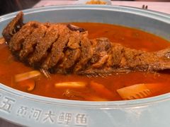 -阿五黄河大鲤鱼(英协路店)