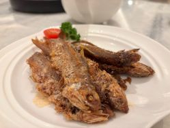 -上海浦东喜来登由由大酒店·宴会厅