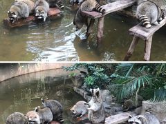 -长鹿旅游休博园