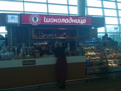 -谢列梅捷沃国际机场