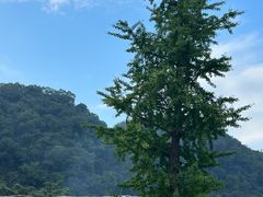 -高荡千年布依古寨旅游景区