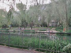 -南长河公园