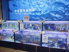 -物美大卖场(玉蜓桥店)