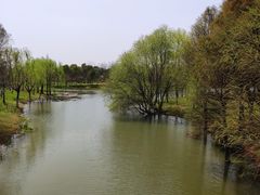 -尚贤河湿地