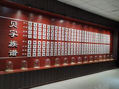 -青岛贝壳博物馆