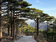 -黄山风景区