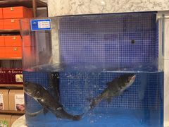 -香山湖渔家大院