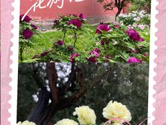 -北京市劳动人民文化宫(太庙)