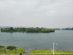 -丁香湖公园