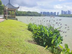-顺峰山公园