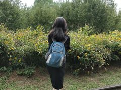 -永定河休闲森林公园