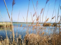 -野鸭湖国家湿地公园