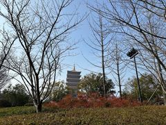 -牛首山文化旅游区