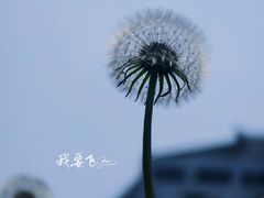 -广东中医药博物馆