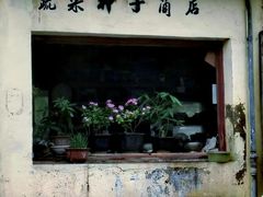 -三林塘老街