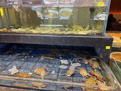 -小厨师·二十年沈家门小海鲜(百井坊巷店)