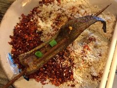 鳝鱼-晓靖轩烧烤(沙河风情店)