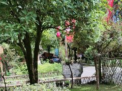 -土灶人家柴火鸡(都江堰店)