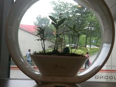 -浦东图书馆读者餐厅