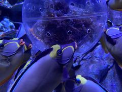 -成都浩海立方海洋公园