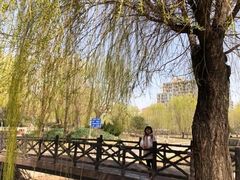 -元大都城垣遗址公园