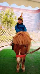 -萌宠亲子动物乐园(槐房万达店)