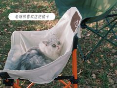 -PETKIT 小佩宠物·低压洗护·美容·寄养(安远店)