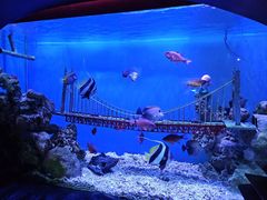 -太平洋海底世界