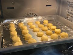 -珍妮曲奇聪明小熊(尖沙咀店)