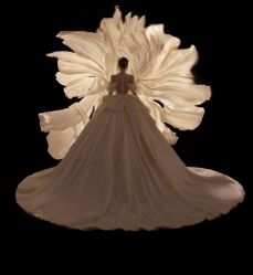 -拾尚映画·STUDIO婚纱摄影(中关村店)