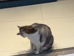 -谜盒子奇幻密室(南屏店)