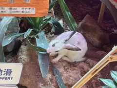 -正佳雨林生态植物园