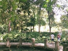 -成都市活水公园