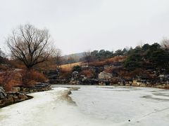 -北京西山国家森林公园