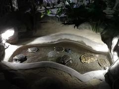 -泉城欧乐堡海洋极地世界